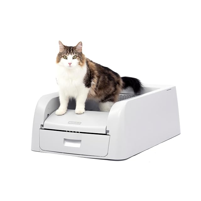 Lettiera autopulente PetSafe ScoopFree Clumping con cassetto dei rifiuti
